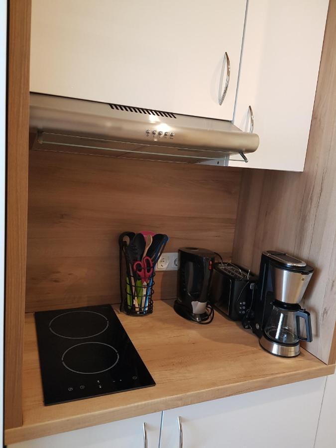 גוסלר Fewo Nina Exklusiv Design Mit Bergblick מראה חיצוני תמונה